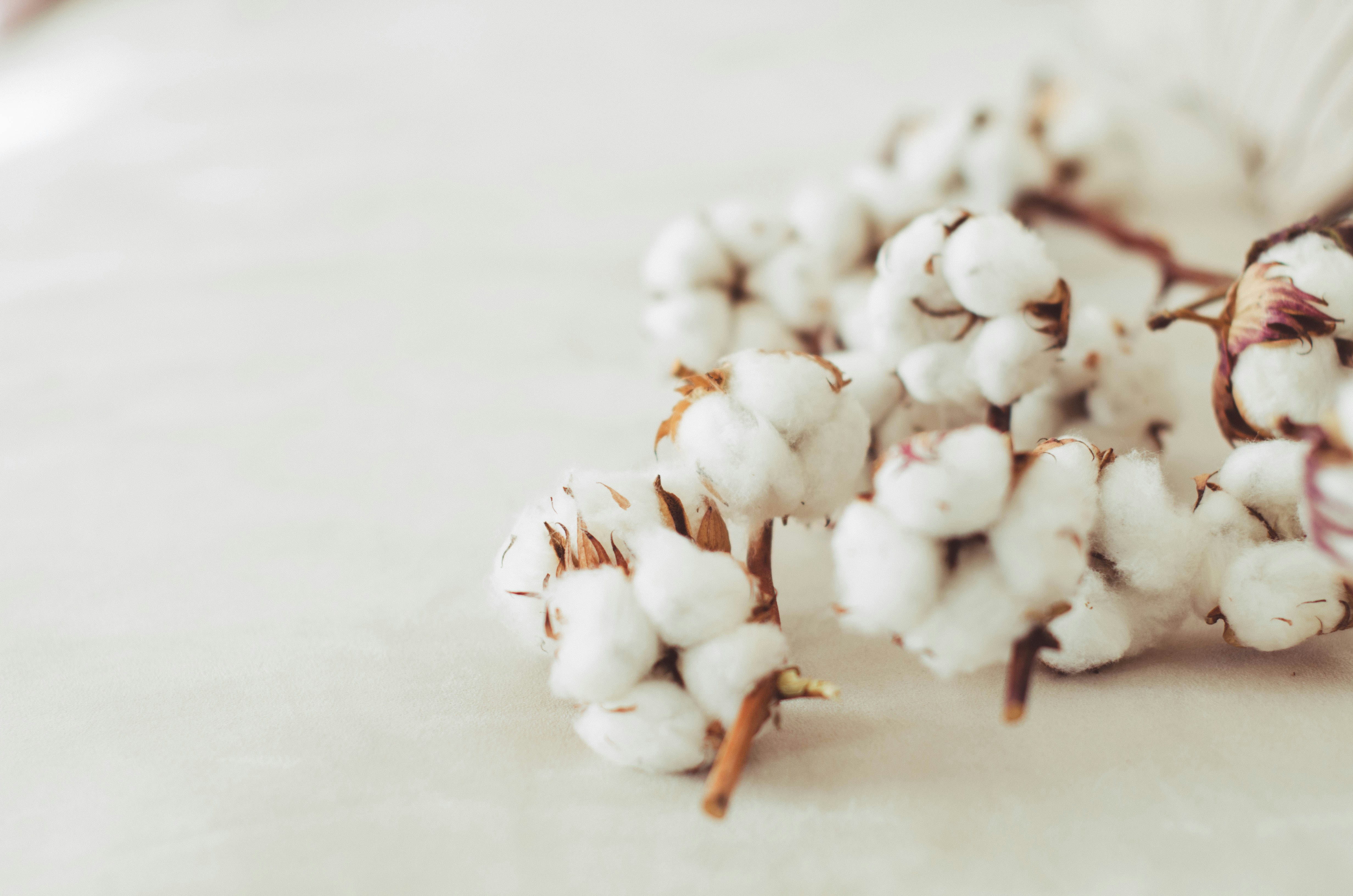 40代から感じる、小さな体の変化 ― 加齢臭は男性だけのものではありません ― | 身体の不調